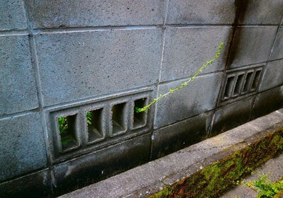 古いブロック塀