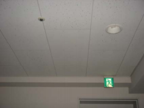 石綿 アスベスト解体工事の失敗を防ぐ全情報まとめ プロが答える豆知識 くらそうね 石綿 アスベスト解体工事の失敗を防ぐ全情報まとめ プロが答える豆知識 くらそうね